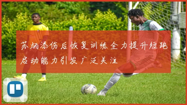 苏炳添伤后恢复训练全力提升短跑启动能力引发广泛关注